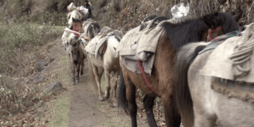 Three chiwogs in Yallang Gewog turn to ropeway idea as road access remains out of reach